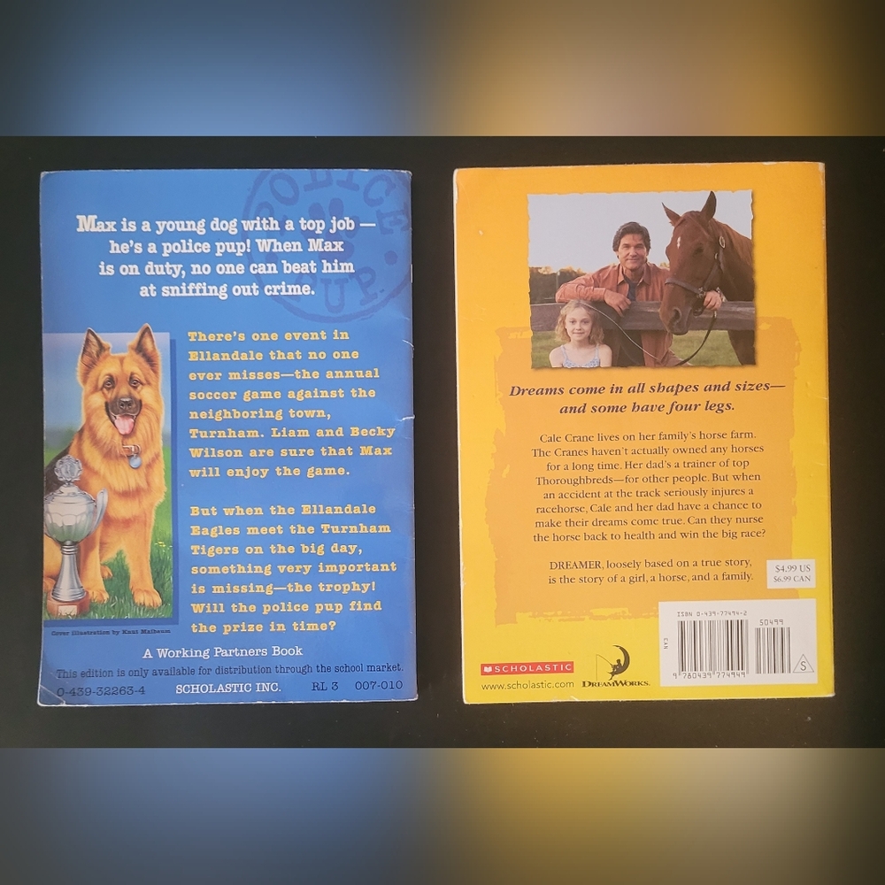 Children's Chapter Book Collection - Picture 7 of 9